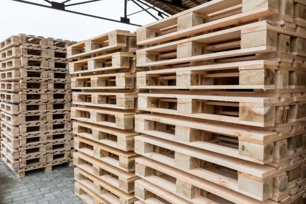 Buy new Euro pallets and trays pallets from a reliable supplier
